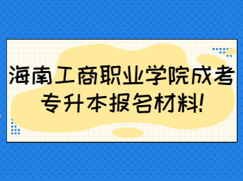 海南工商职业学院成考专升本报名材料