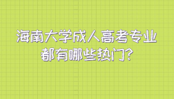 海南大学成人高考专业都有哪些热门